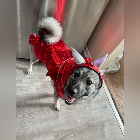 Other - Devil dog Halloween costume size large